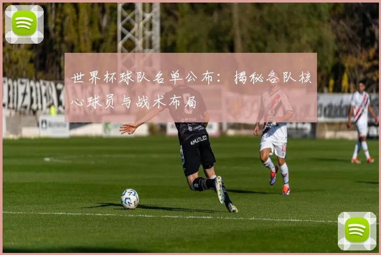 世界杯球队名单公布：揭秘各队核心球员与战术布局
