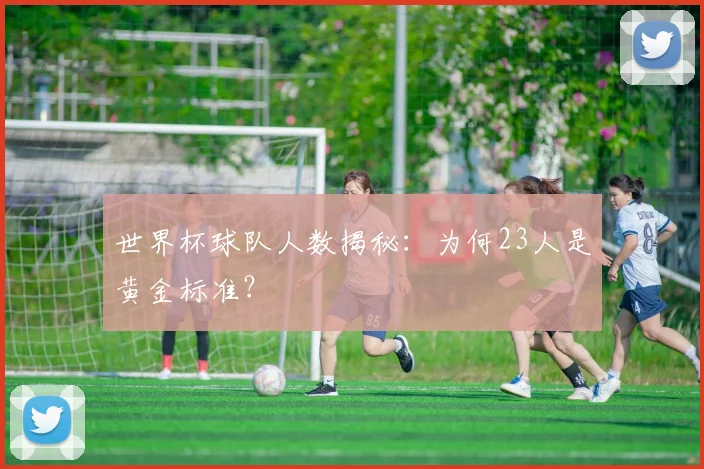 世界杯球队人数揭秘：为何23人是黄金标准？