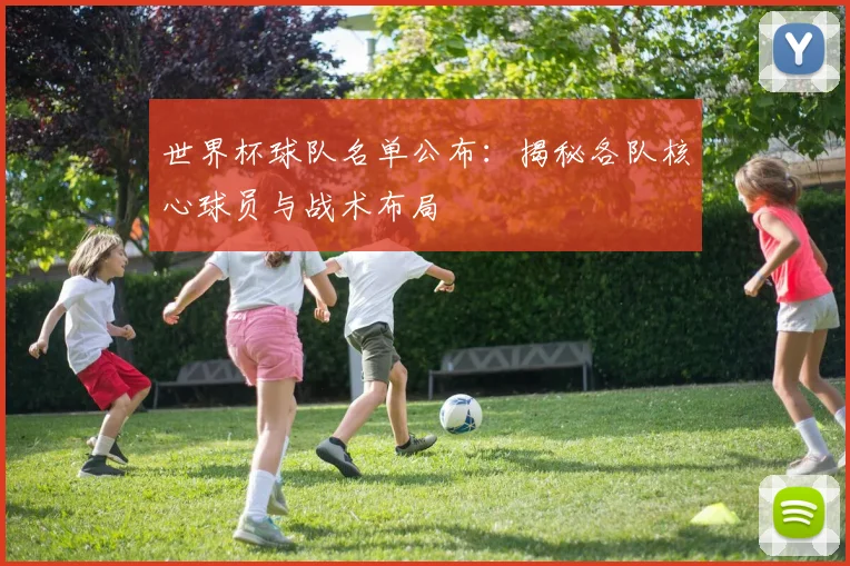 世界杯球队名单公布：揭秘各队核心球员与战术布局