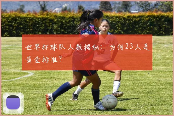 世界杯球队人数揭秘：为何23人是黄金标准？