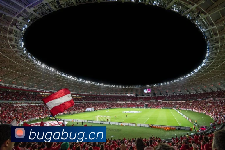 App Interface Preview